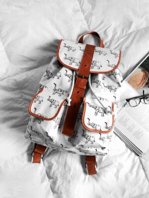 Stylish lady carry bag